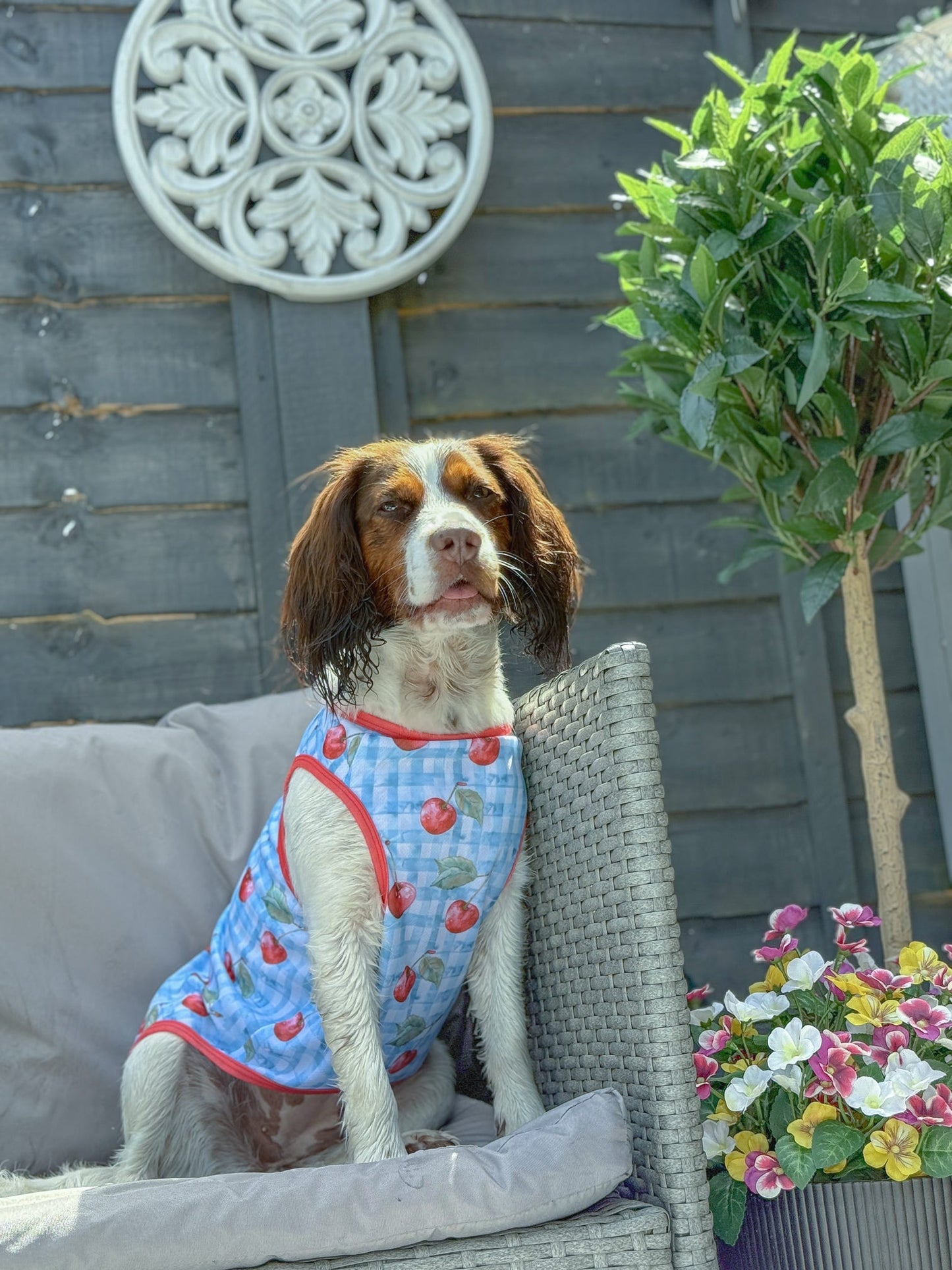 The Cherry Gingham Cooling Vest