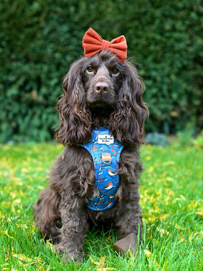 Seasons Tweetings Adventure Paws Harness