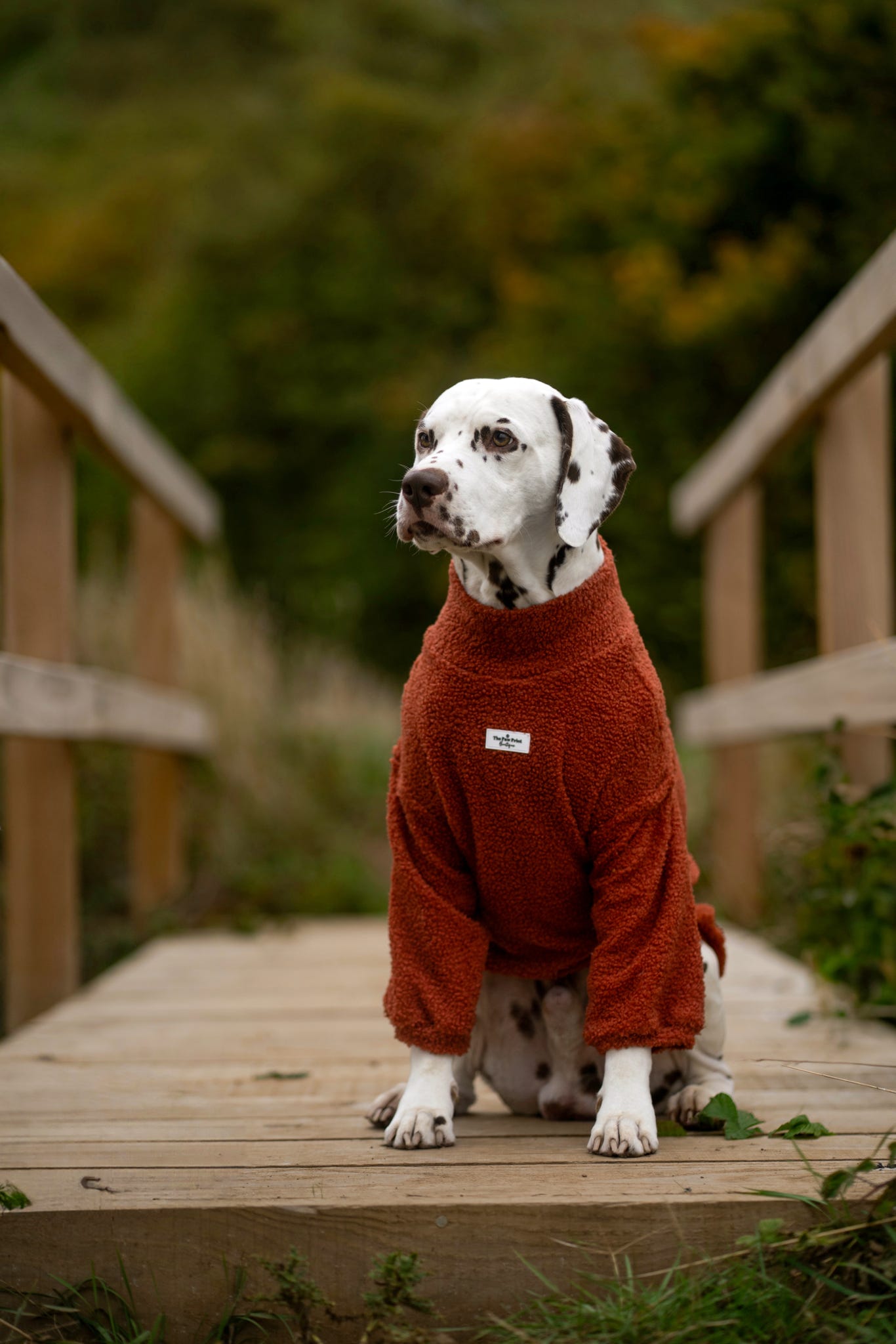 Teddy Fleece - Burnt Orange
