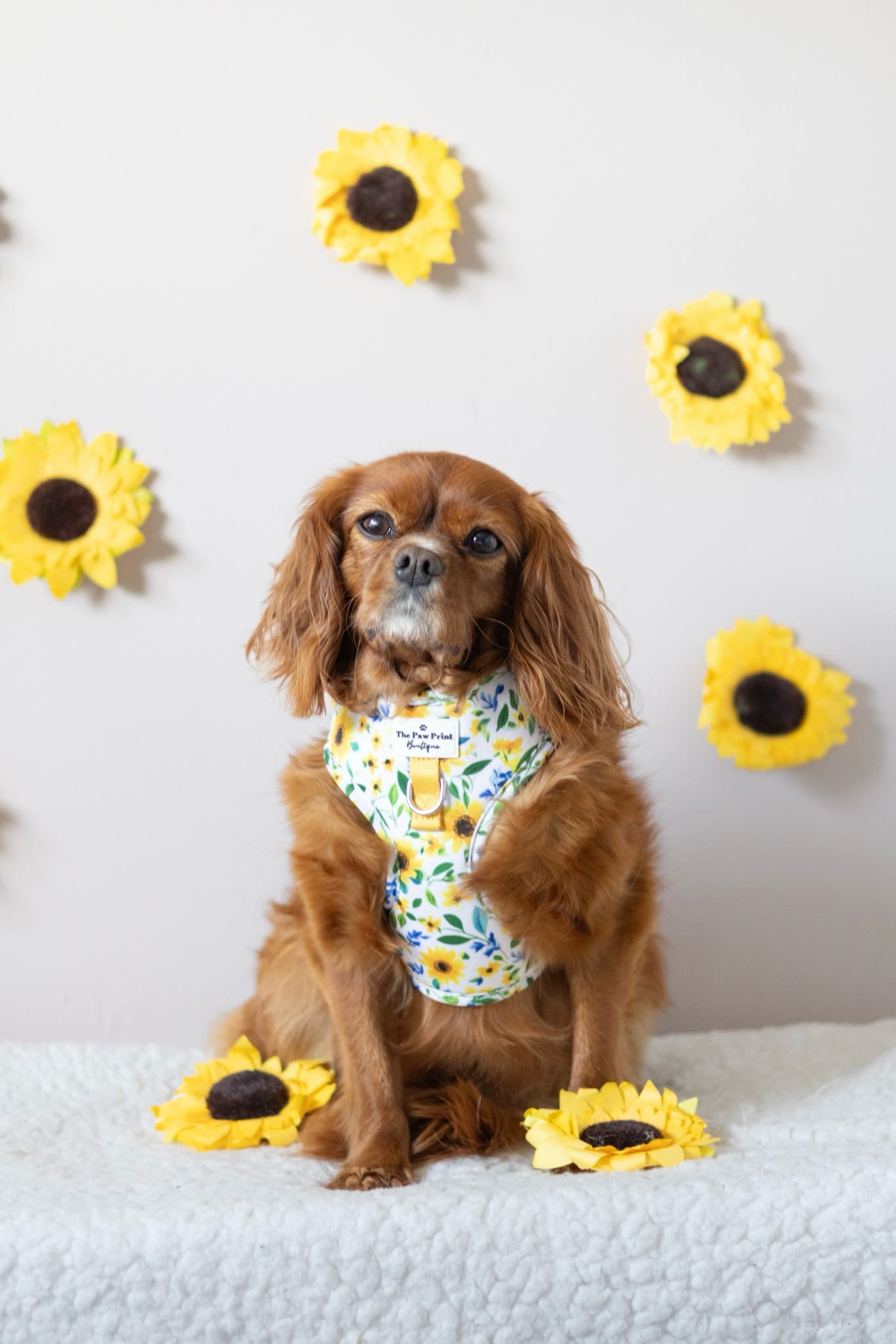 Sunny Sunflowers Adjustable Harness