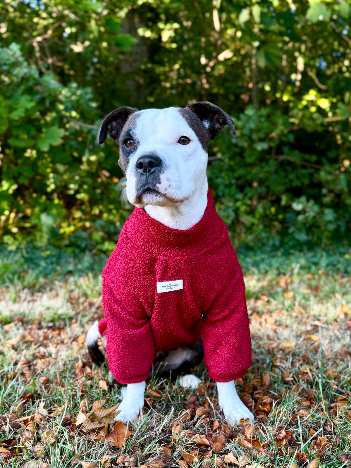 Teddy Fleece - Ruby Red