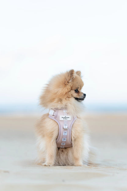 Palm Springs Adventure Paws Harness