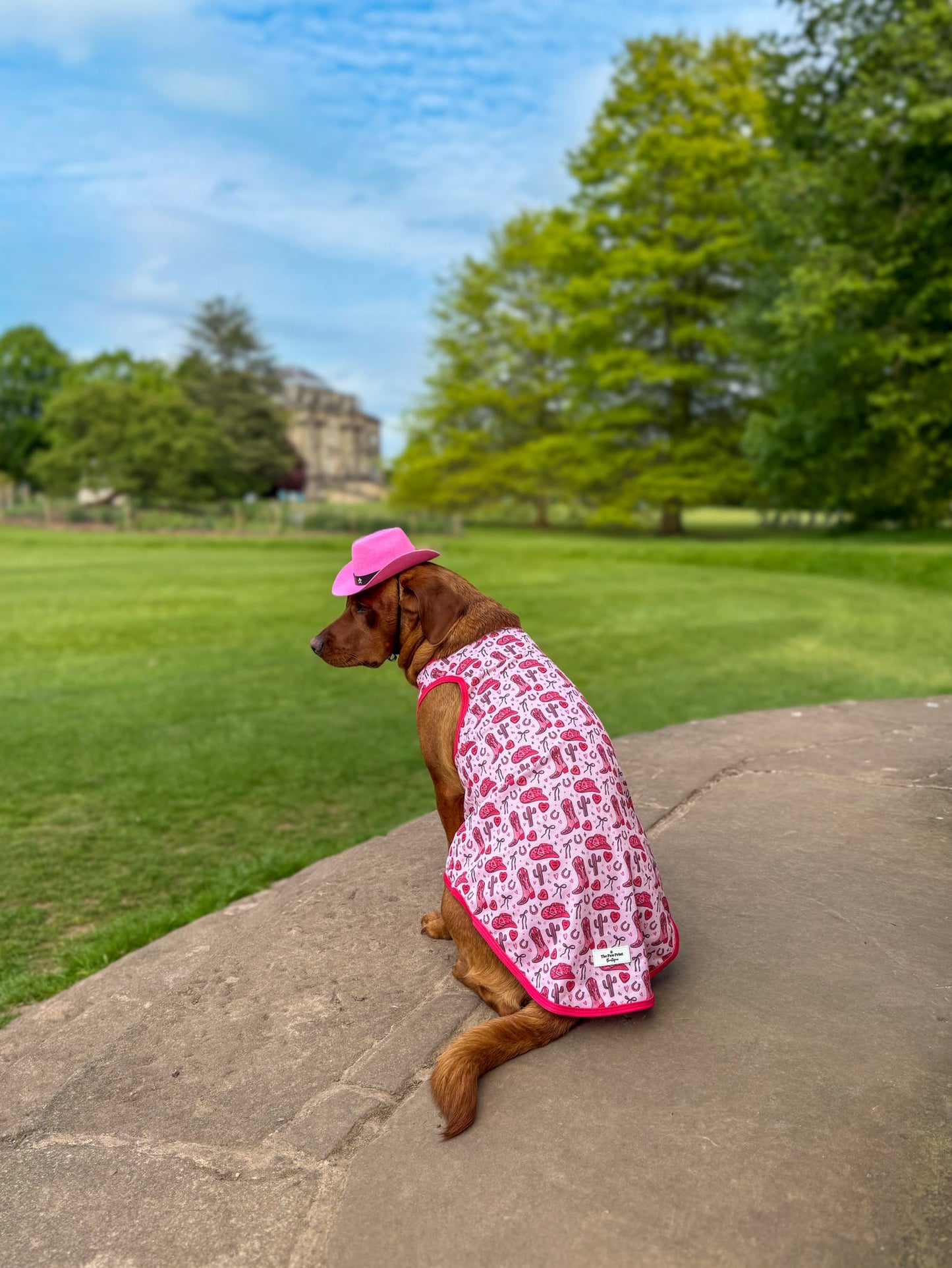 The Giddy up Pup Cooling Vest