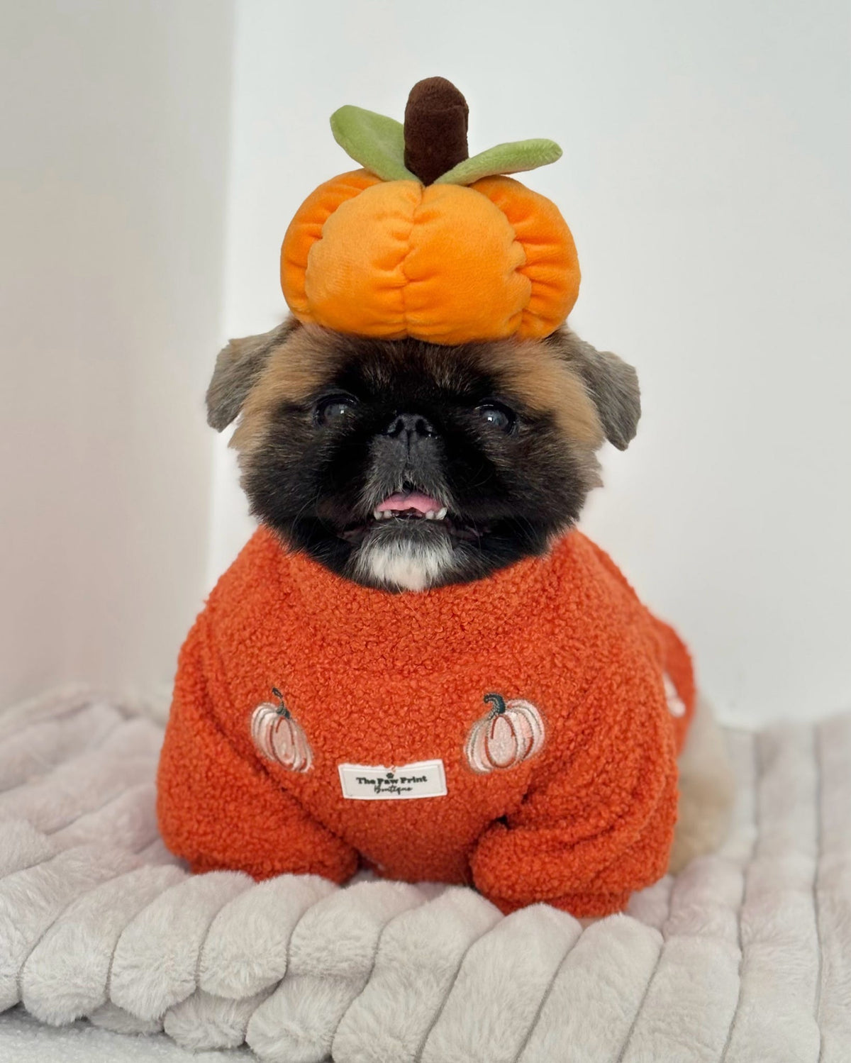 The Embroidered Pumpkins Teddy Fleece