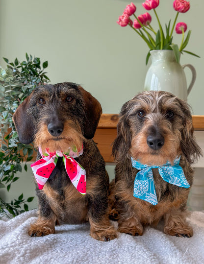 The Pineapple Pawty Bow Tie