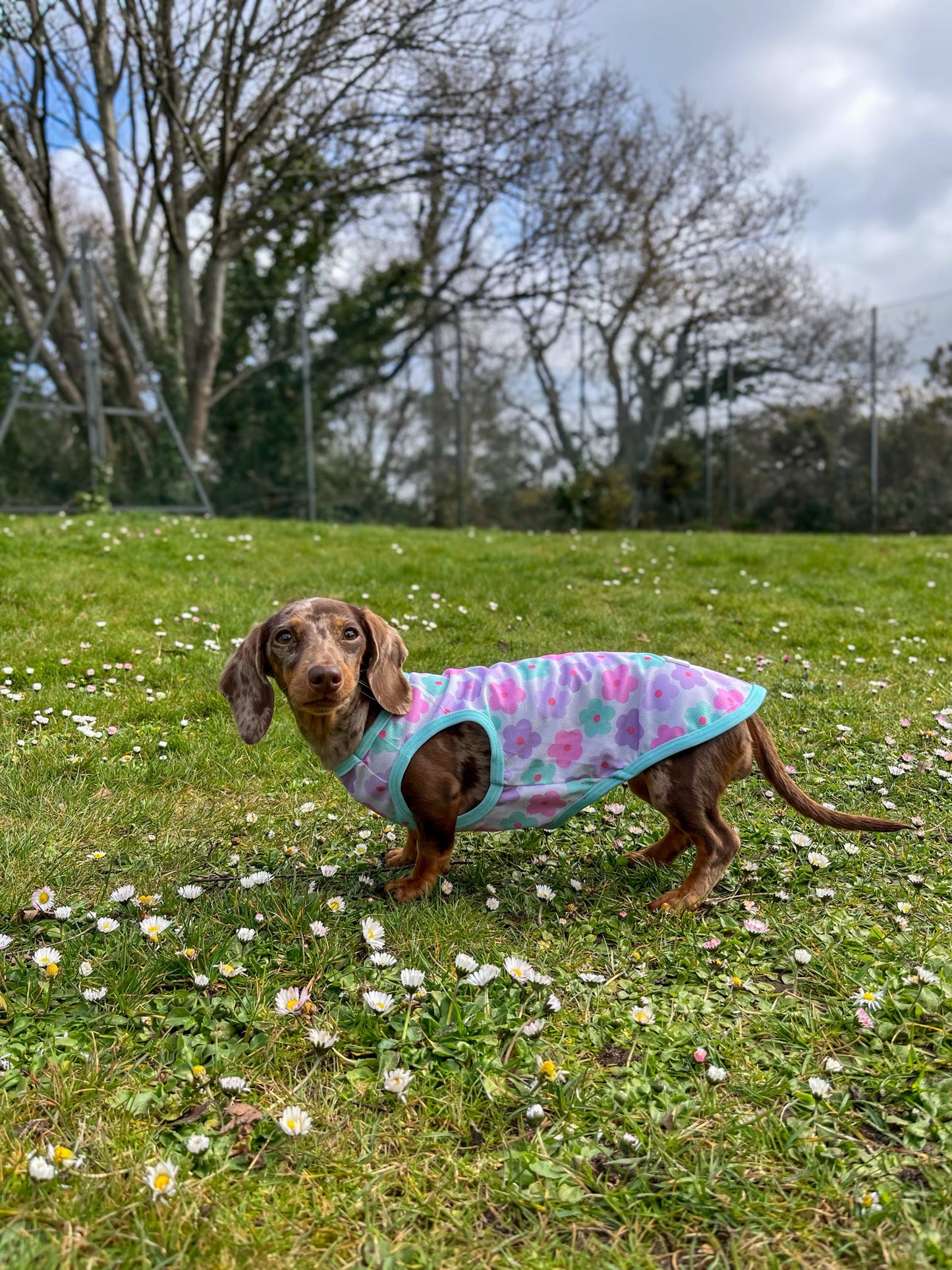 The Minty Meadows / Flower Power Cooling Vest