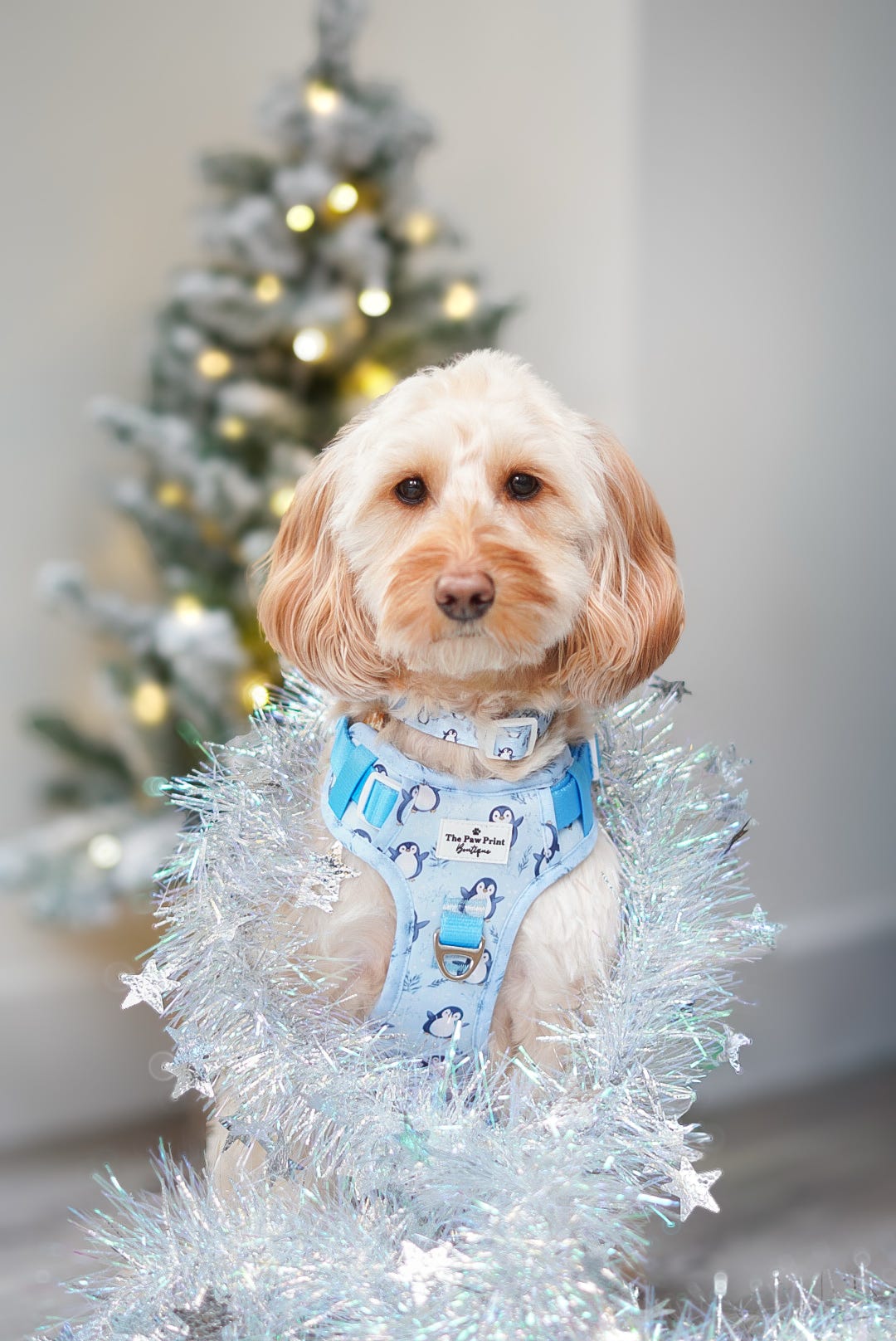 Percy Penguin Adventure Paws Harness