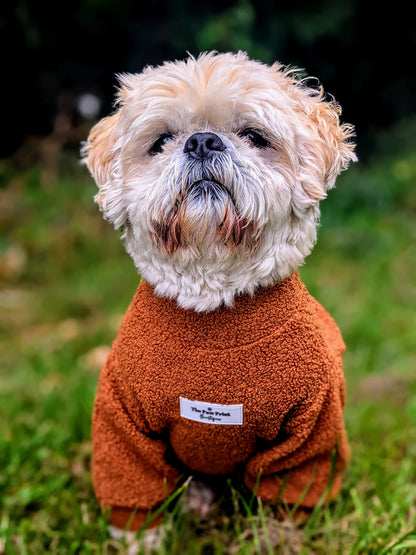The Gingerbread Teddy Fleece