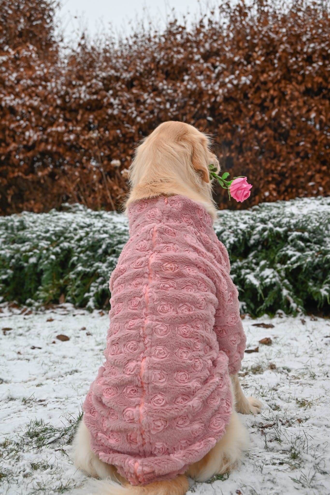 The Roses Fleece - Pink