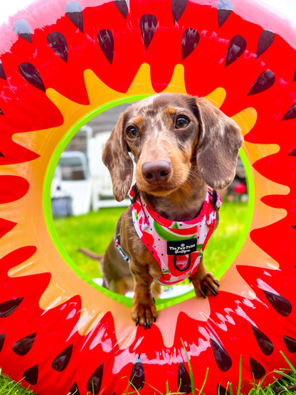 The Watermelon Sugar Adjustable Harness