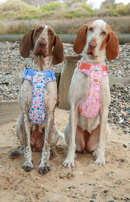 Santorini Seagulls Adventure Paws Harness