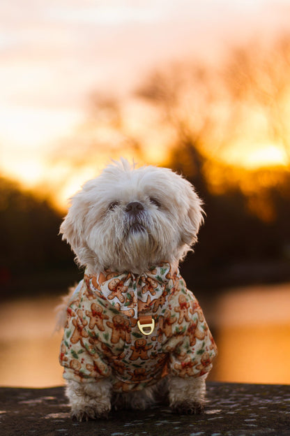 Gingerbread Grove Snuggle Fleece