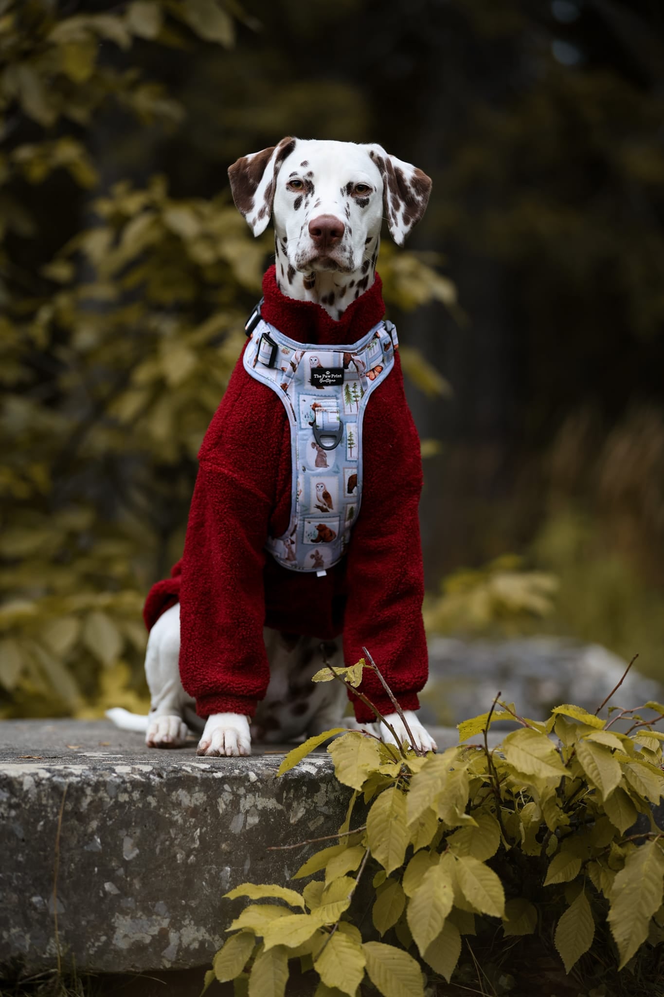 The Mulberry Teddy Fleece