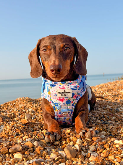 Santorini Seagulls Adventure Paws Harness