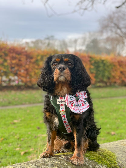 Festive Traditions Adventure Paws Harness