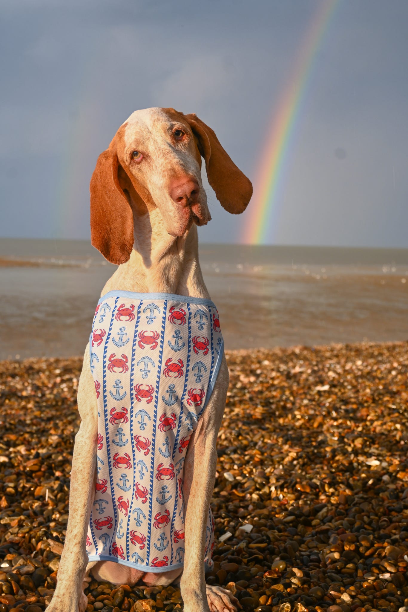 Absolutely Crabulous Cooling Vest