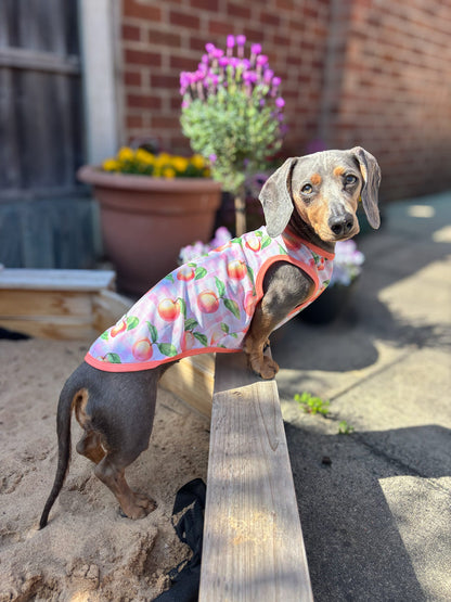 The Peach Gingham Cooling Vest