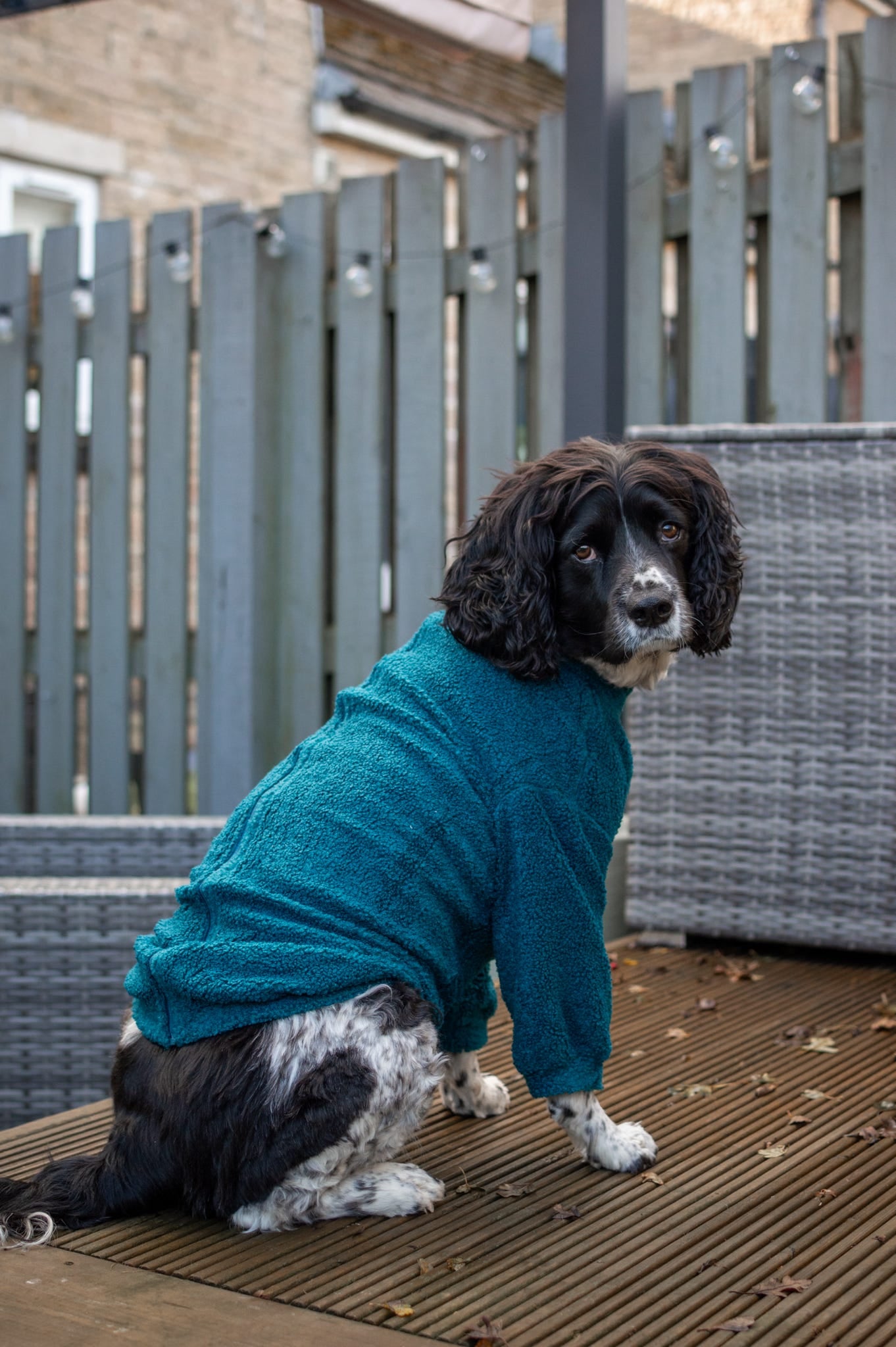 The Teal Teddy Fleece