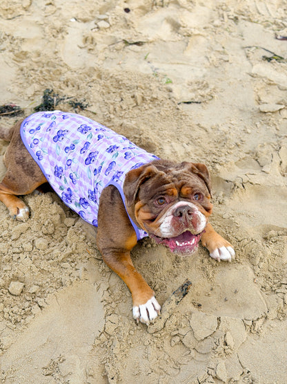 The Blueberry Gingham Cooling Vest