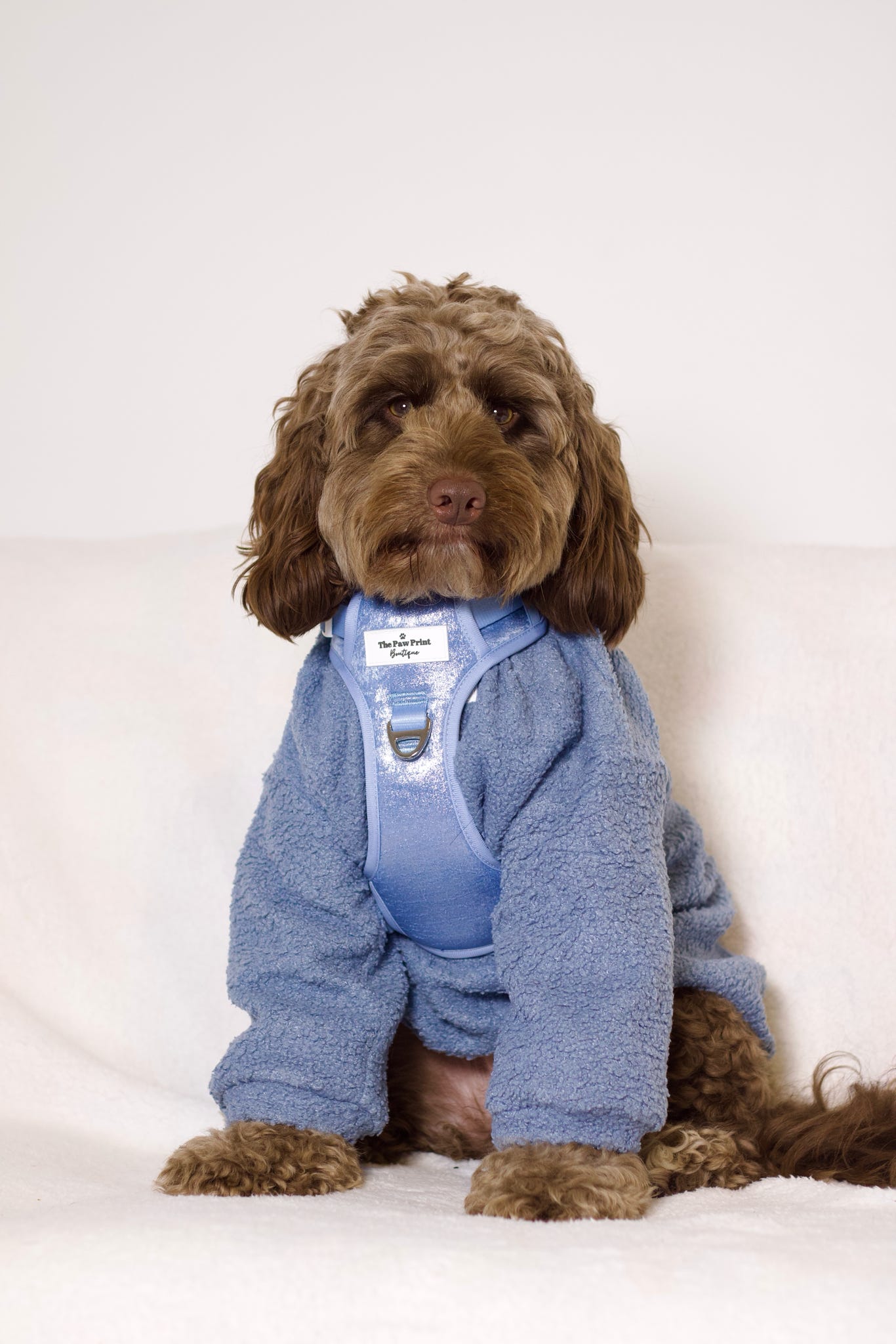 The Ocean Blue Adventure Paws Harness