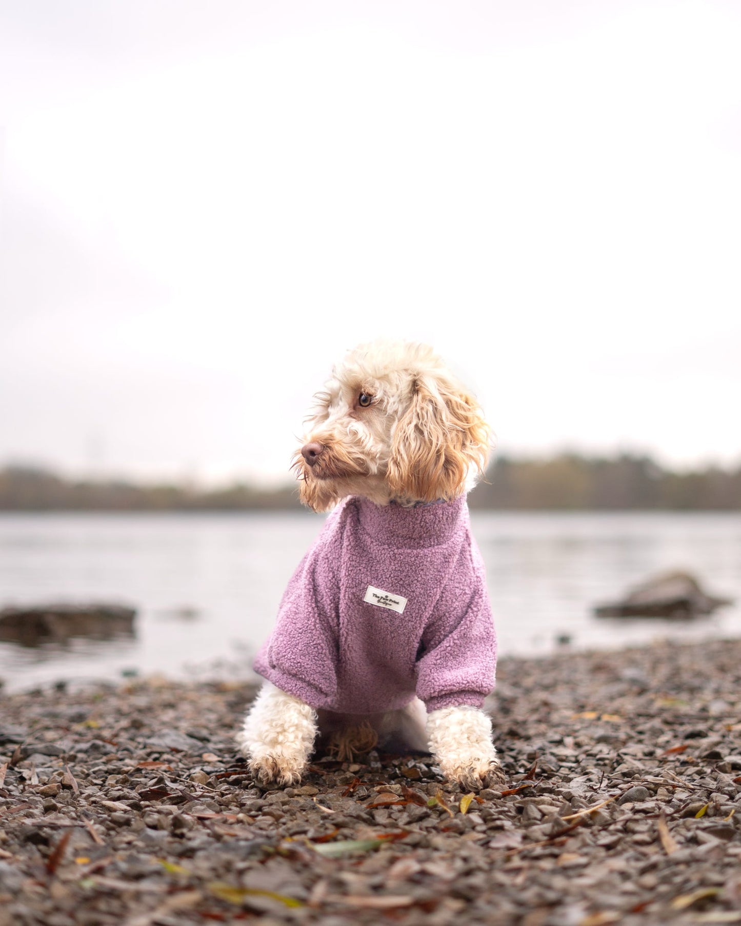 Teddy Fleece - Mauve