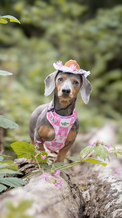 Cowgirl Cutie Adventure Paws Harness