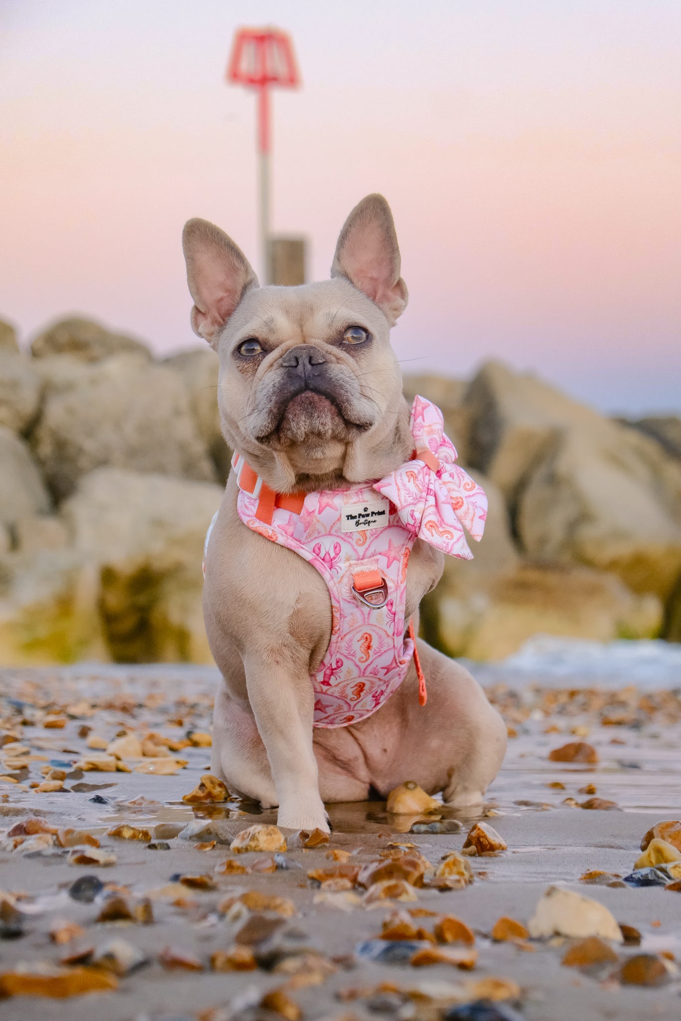 Under the Sea Paws Harness