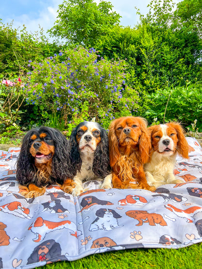 The Cavalier Picnic Mat