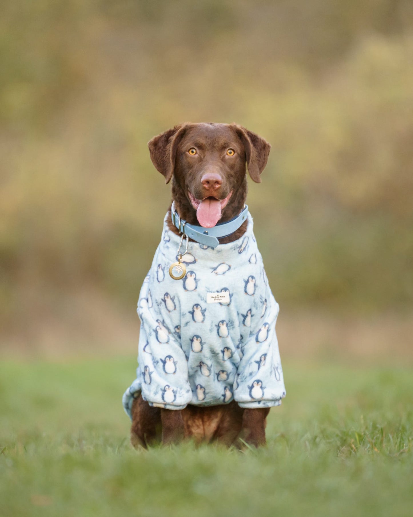 Percy Penguin Snuggle Fleece