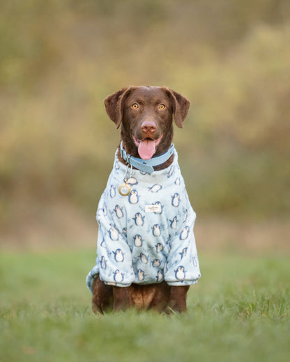 Percy Penguin Snuggle Fleece