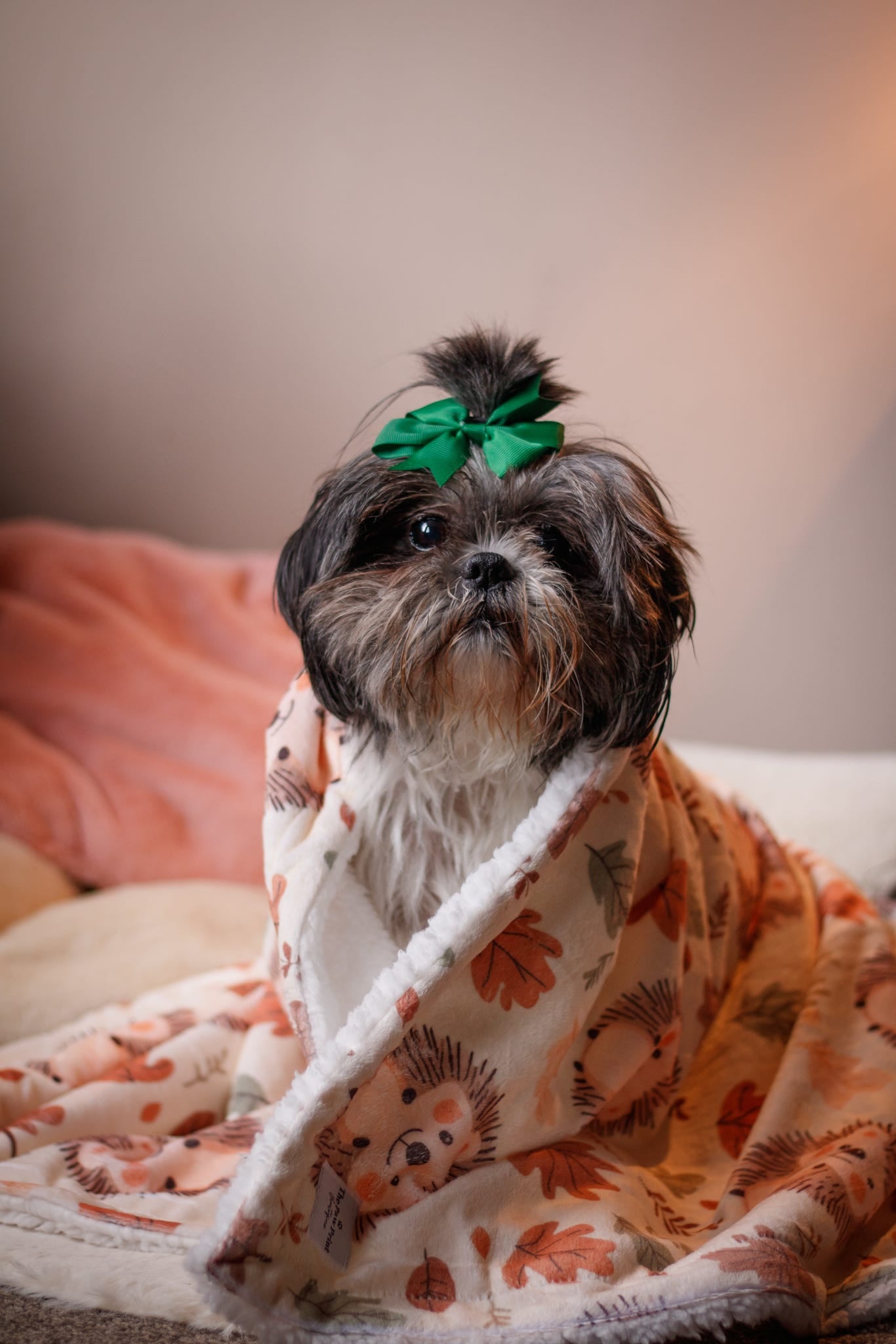 Spike the Hedgehog Dog Blanket