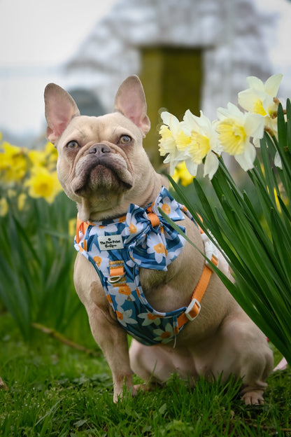 Daffodil Daze Bow Tie