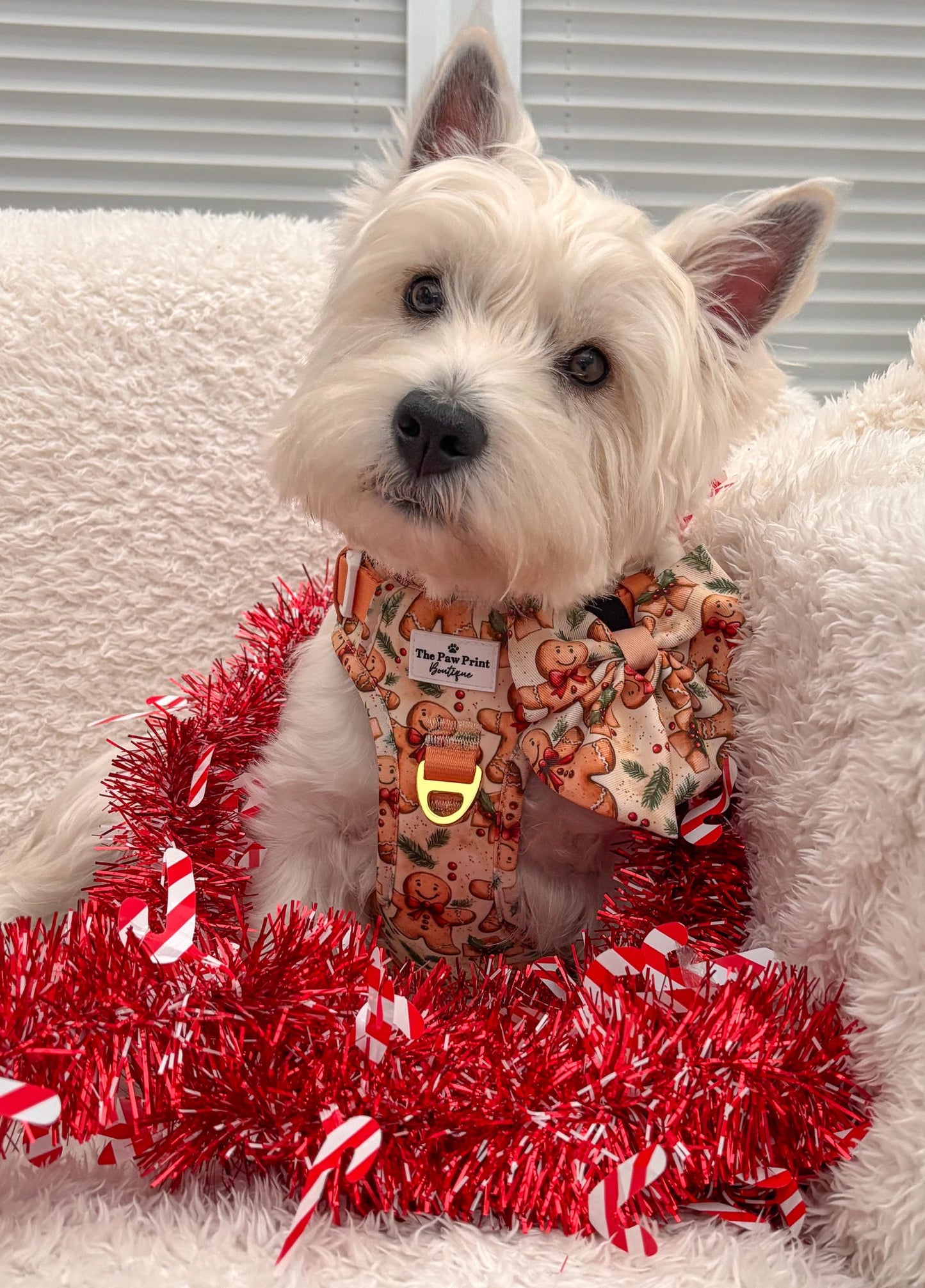 Gingerbread Grove Adventure Paws Harness