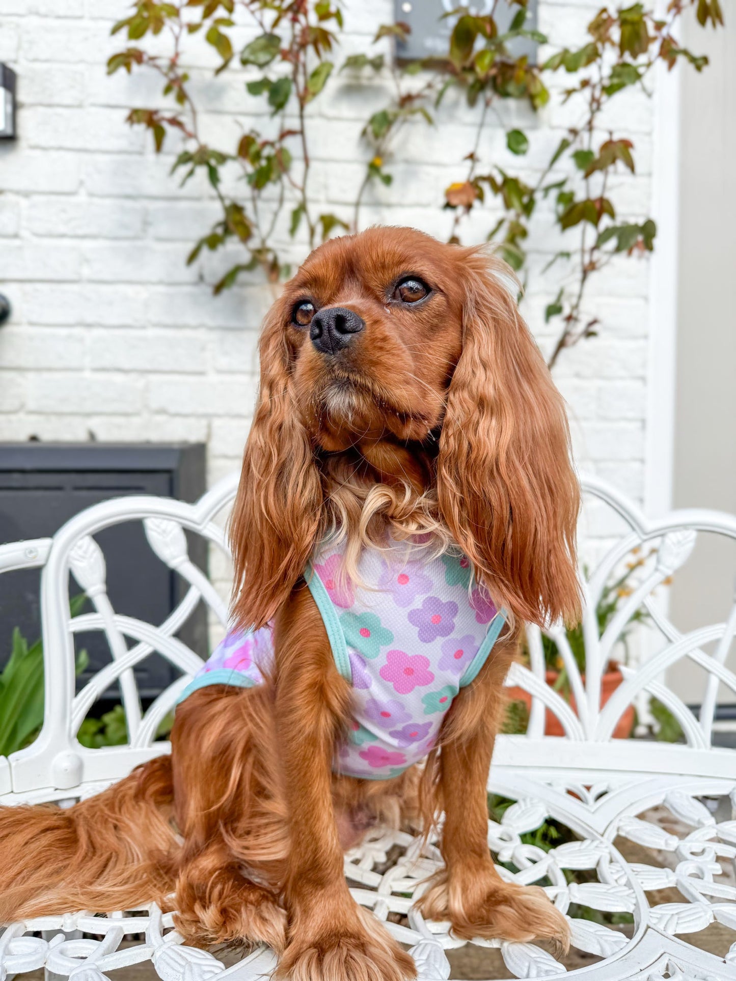 The Minty Meadows / Flower Power Cooling Vest