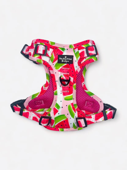 The Watermelon Sugar Adventure Paws Harness