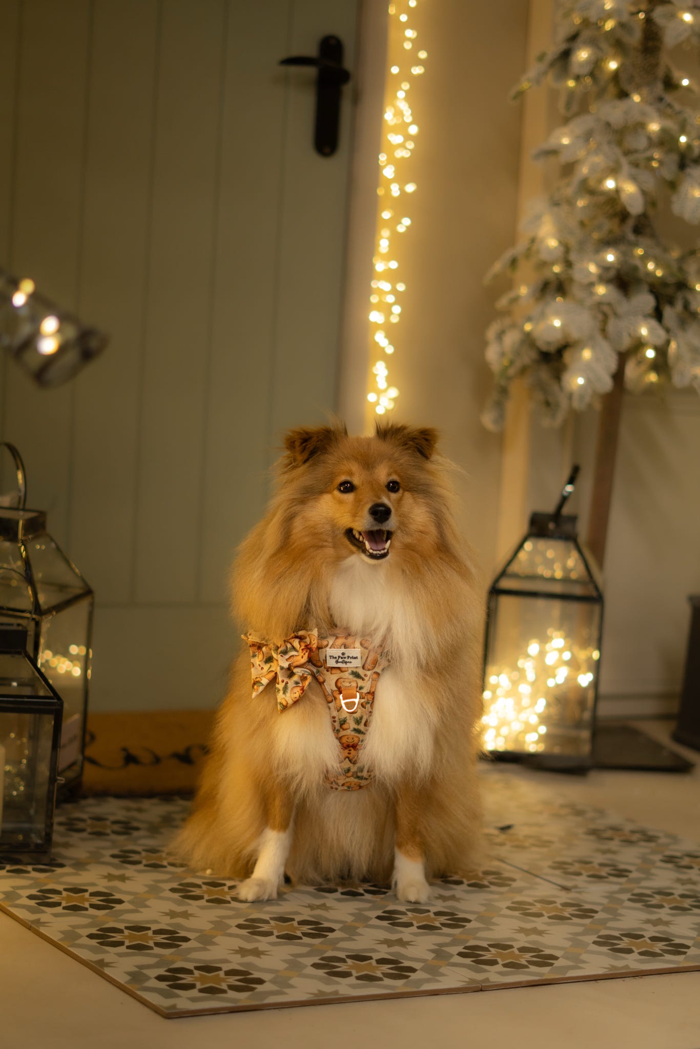 Gingerbread Grove Adventure Paws Harness