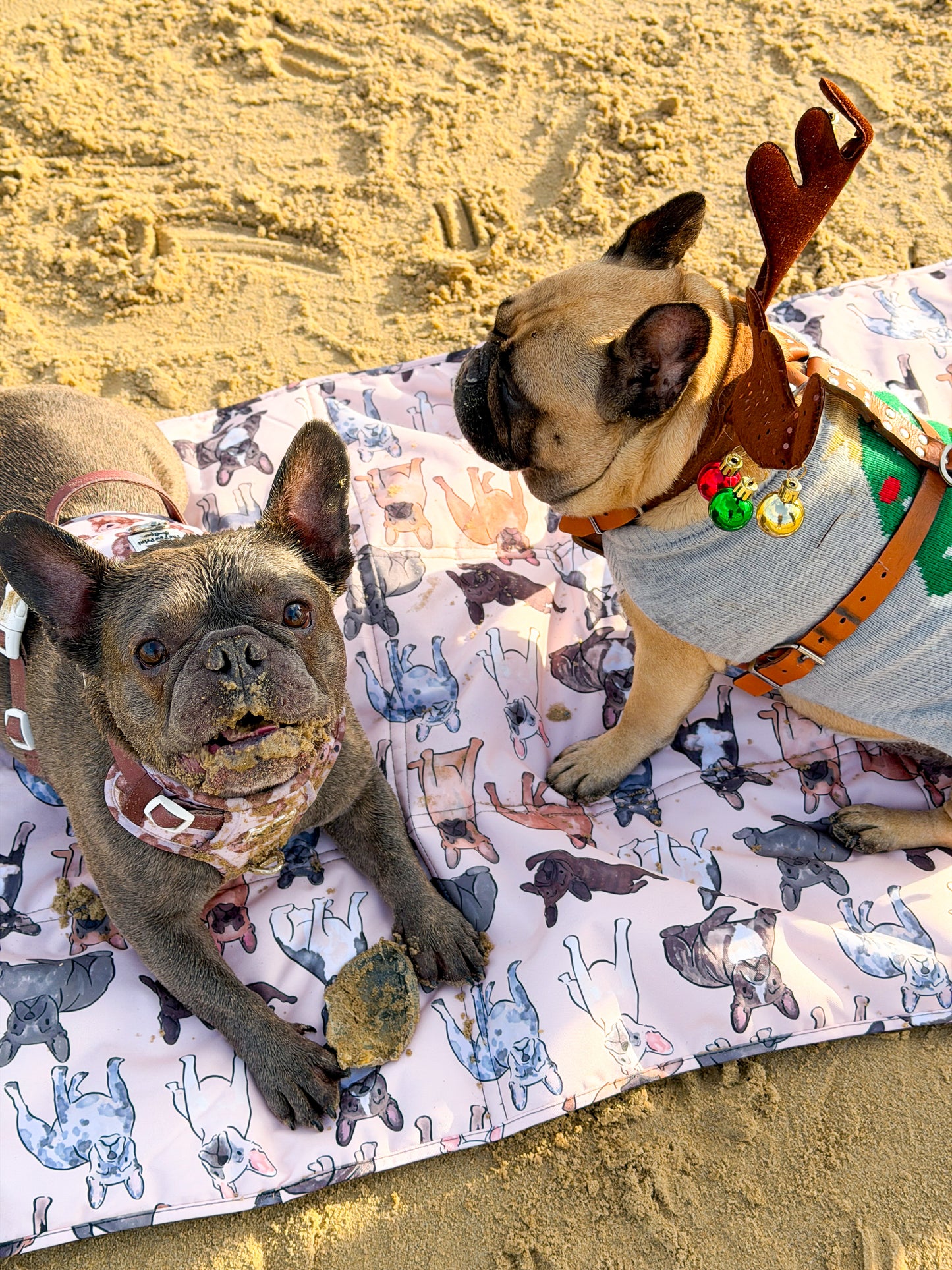 The French Bulldog Travel Mat