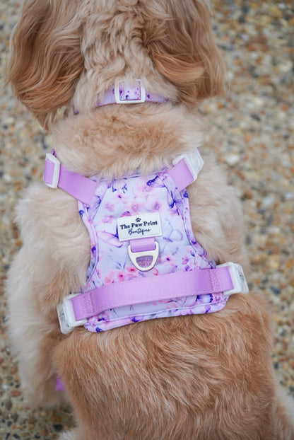 Butterfly Bliss Adventure Paws Harness