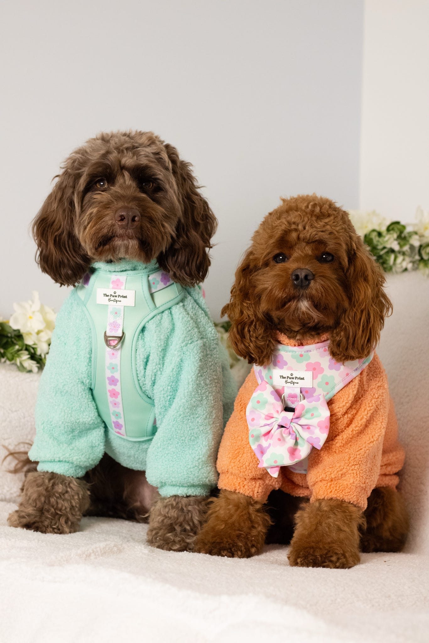 The Mint Teddy Fleece