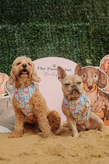 Absolutely Crabulous Adventure Paws Harness