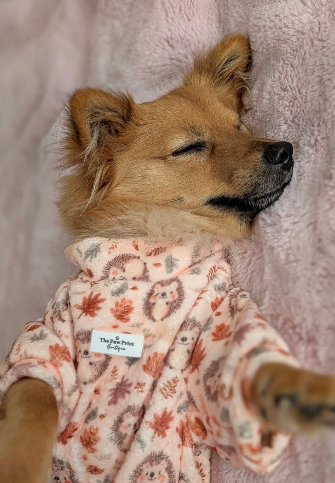 Spike the Hedgehog Snuggle Fleece