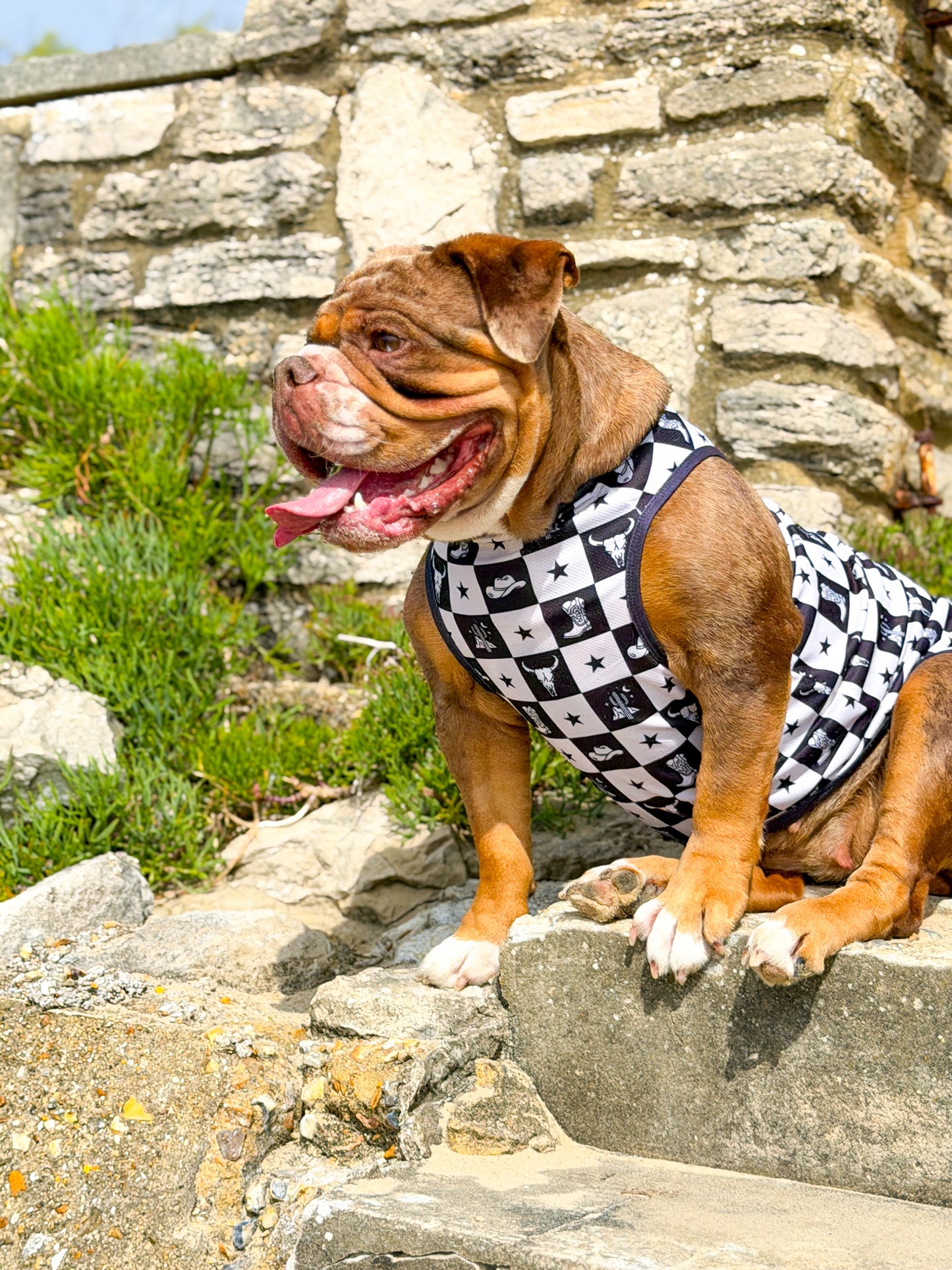 The Wild West Cooling Vest