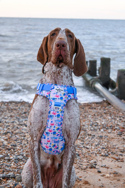 Santorini Seagulls Adventure Paws Harness