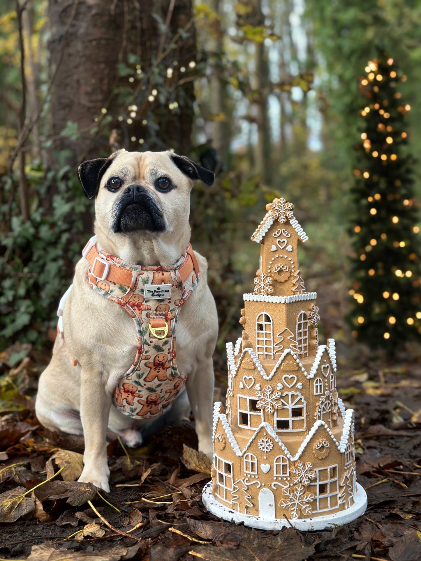 Gingerbread Grove Adventure Paws Harness