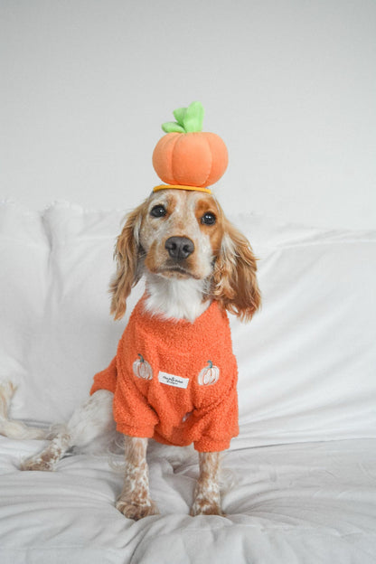 The Embroidered Pumpkins Teddy Fleece