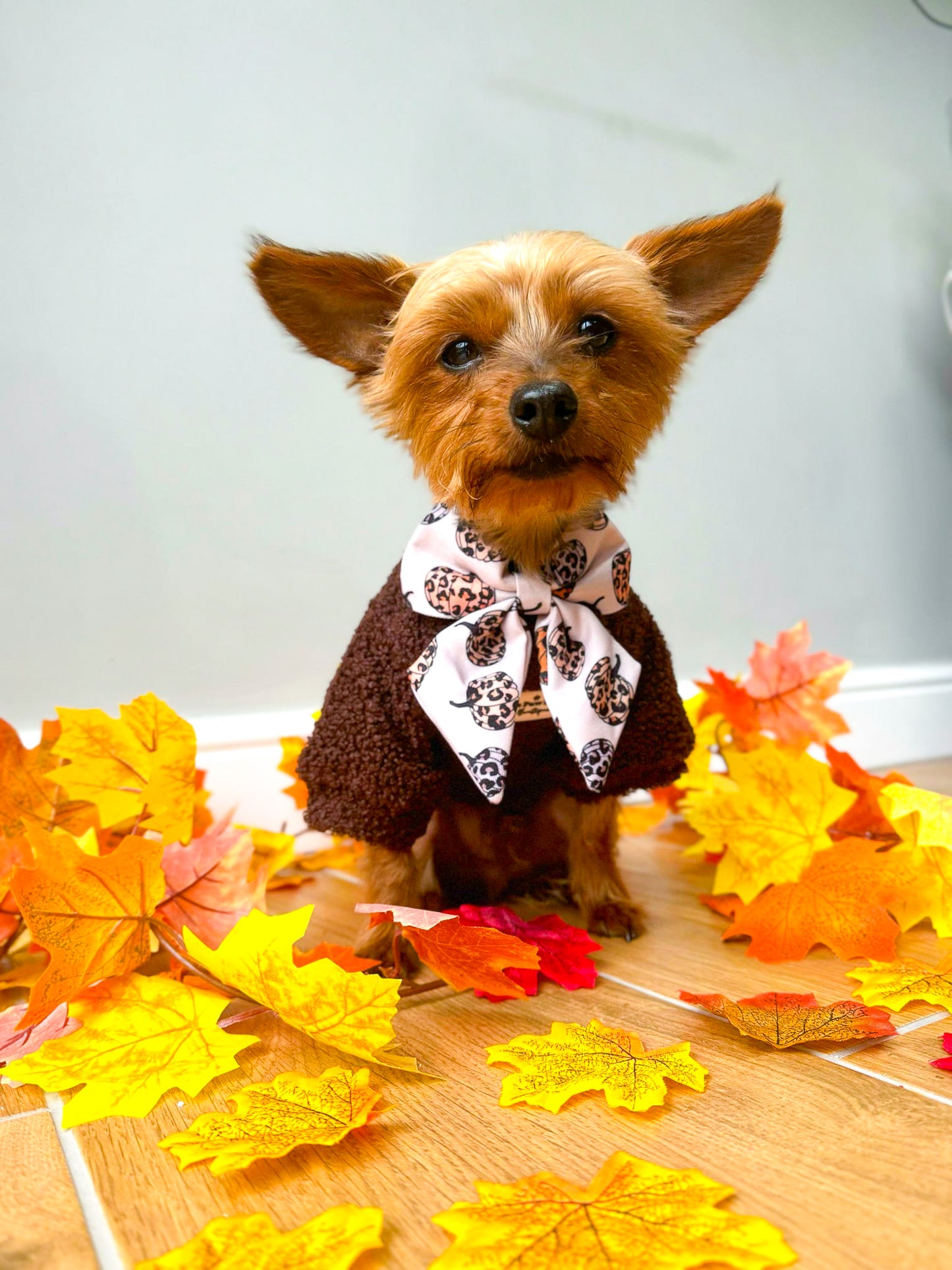 The Leopawrd Pupkins Bow Tie