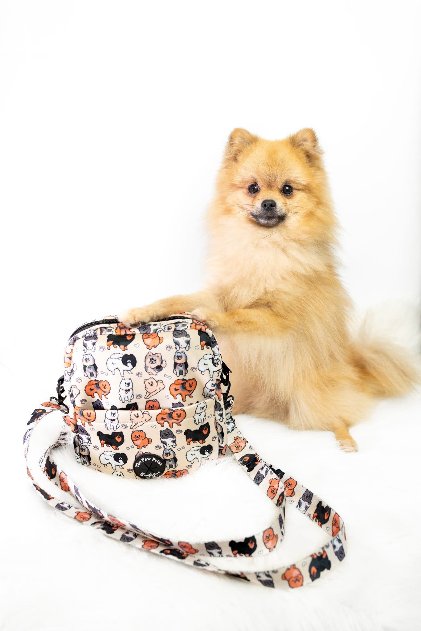 The Pomeranian Dog Walking Bag