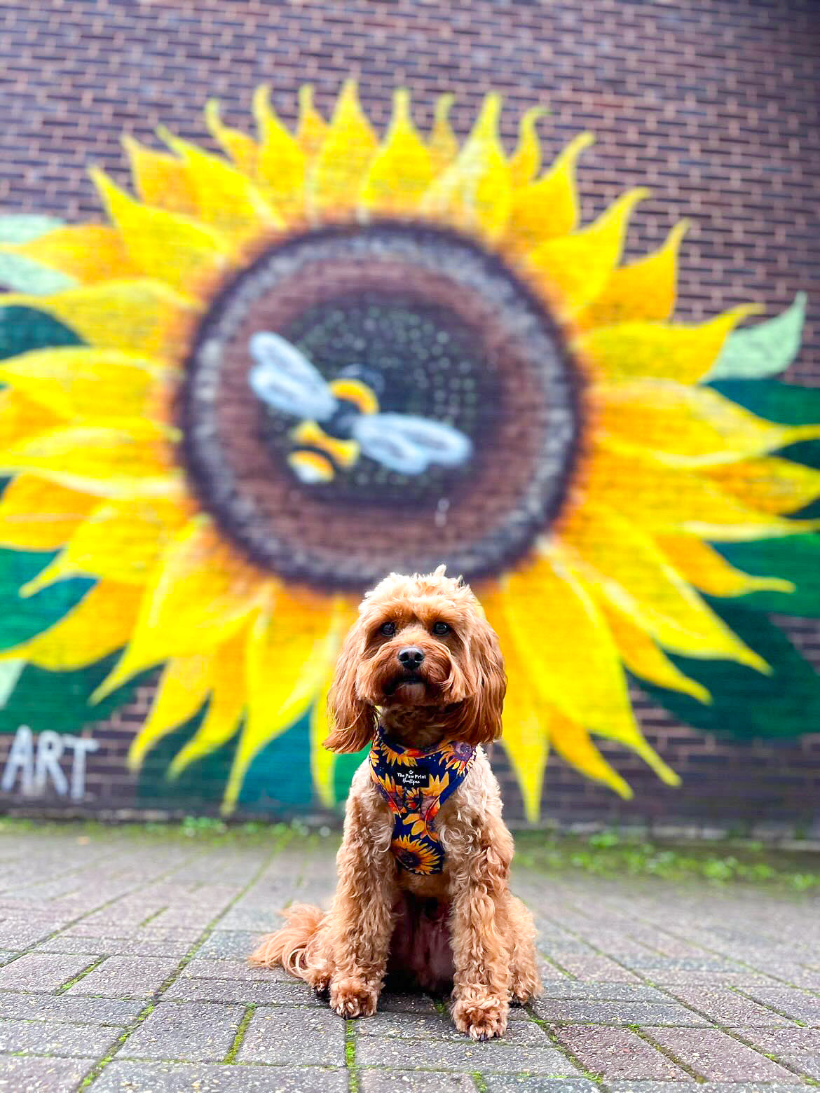 The Sunflower Field Adjustable Harness