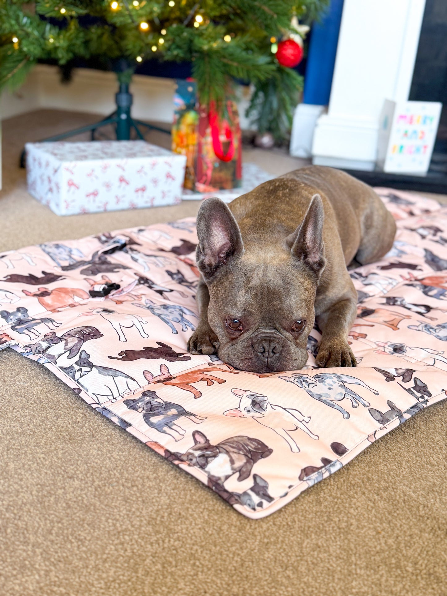 The French Bulldog Travel Mat