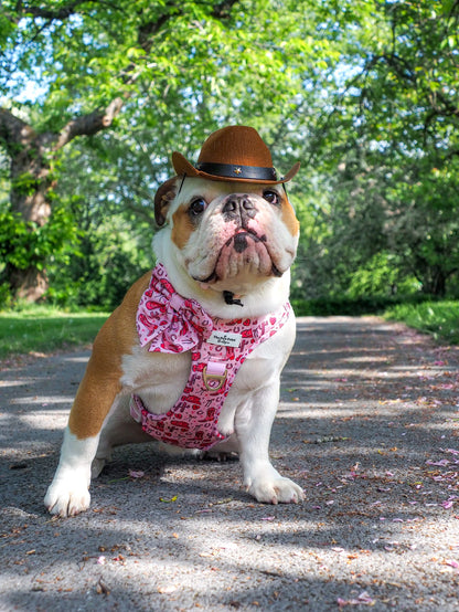 The Giddy up Pup Bow Tie